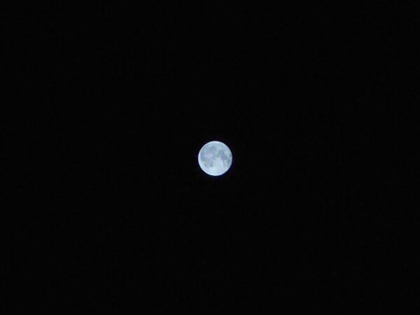 今夜の満月🌕