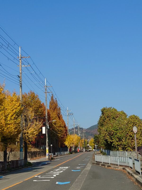 紅葉だね🍁